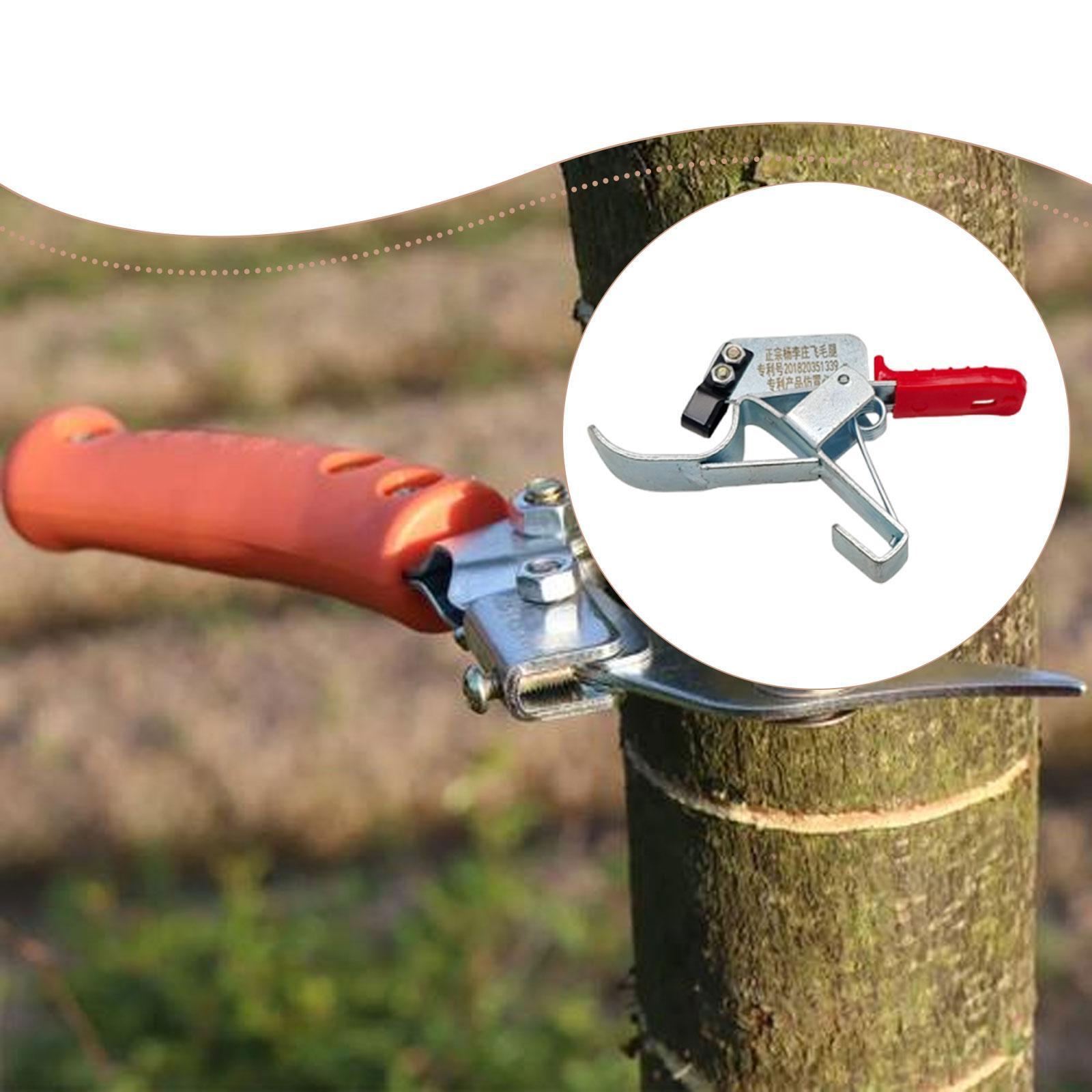 Gardening Tools Essential - 1 stuk fruitboom-omringingsgereedschap, professioneel tuingereedschap, essentieel