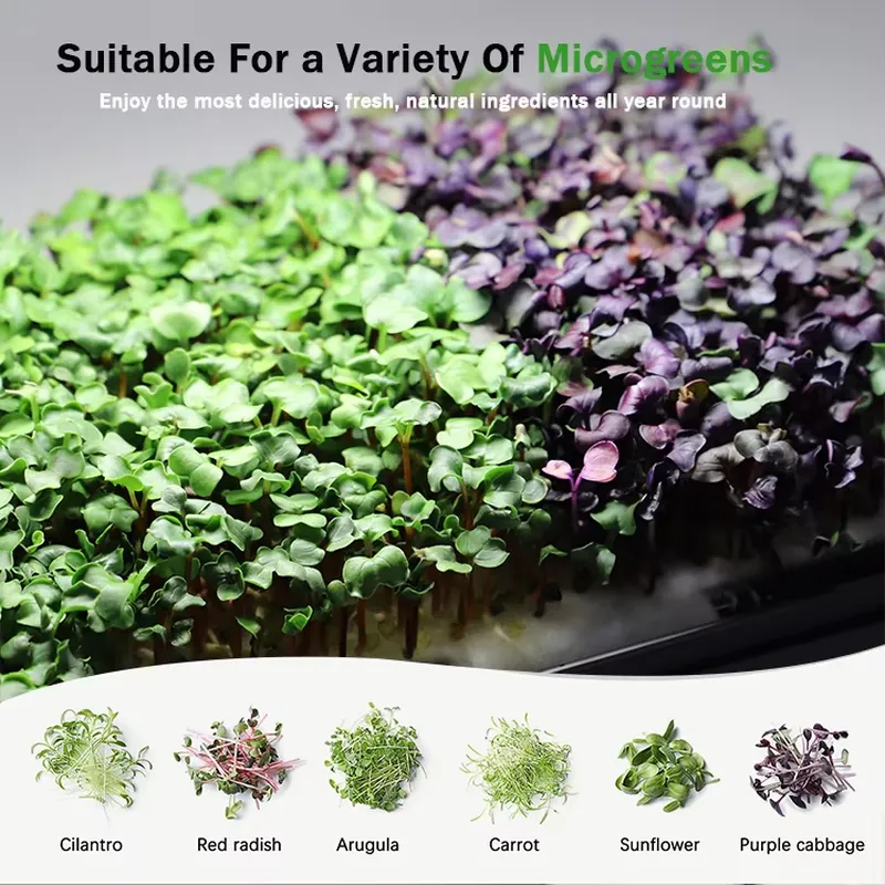 Microgreens Zelfwaterende Hydr - Self-Watering Planter recensie en prijs