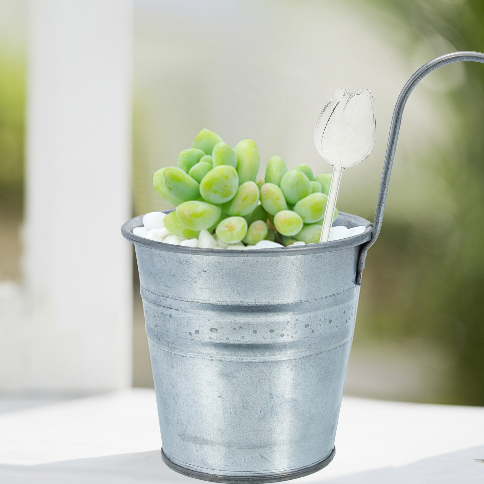 2 stuks hoogwaardige glazen wa - Self-Watering Planter recensie en prijs