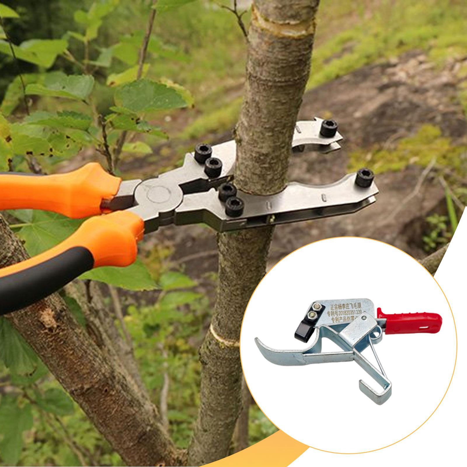 1 stuk fruitboom-omringingsger - Gardening Tools Essential recensie en prijs