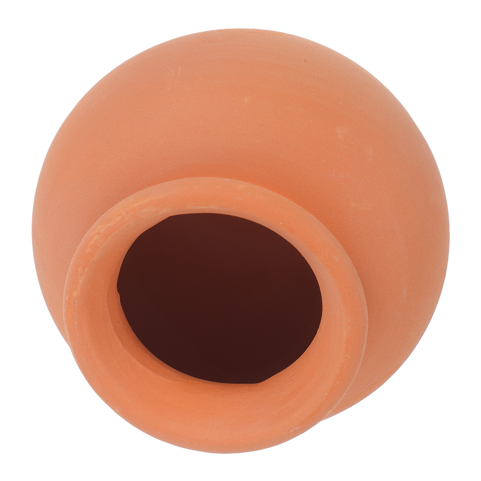 Terracotta zelfwaterende spijk - Automatic Plant Waterer recensie en prijs